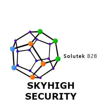 Skyhigh security